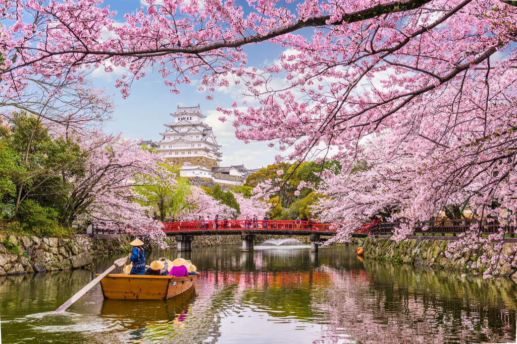 Cherry Blossom Festival